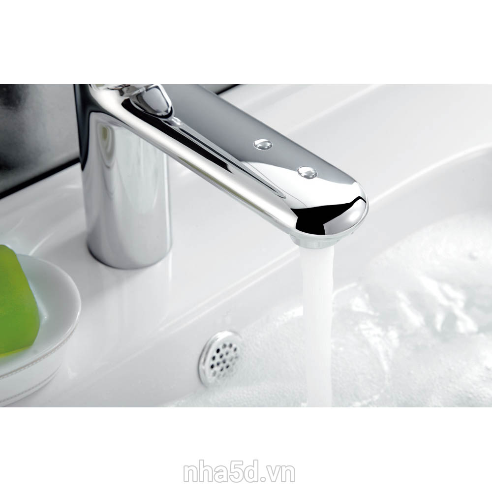 voi-esinc-F10A0008
