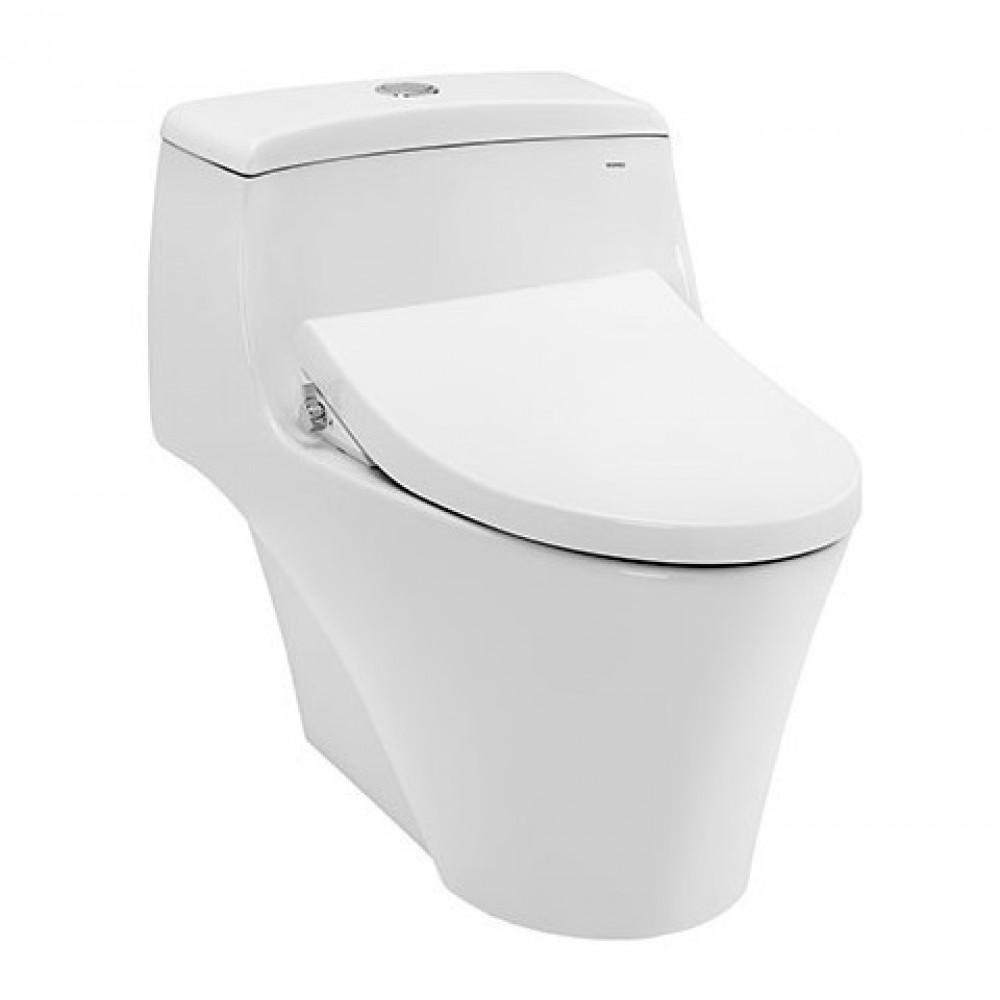 bon-cau-toto-ms823rae4
