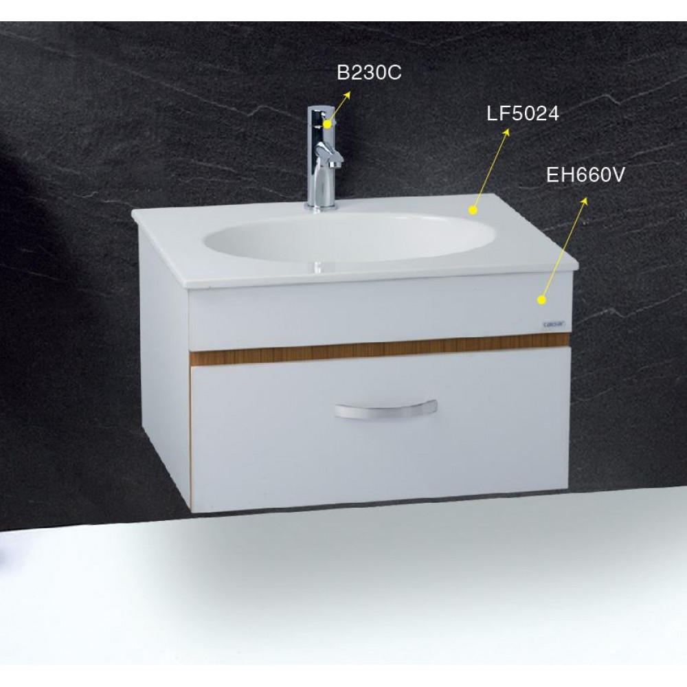 chau-rua-lavabo-caesar-LF5024-ngoai-canh