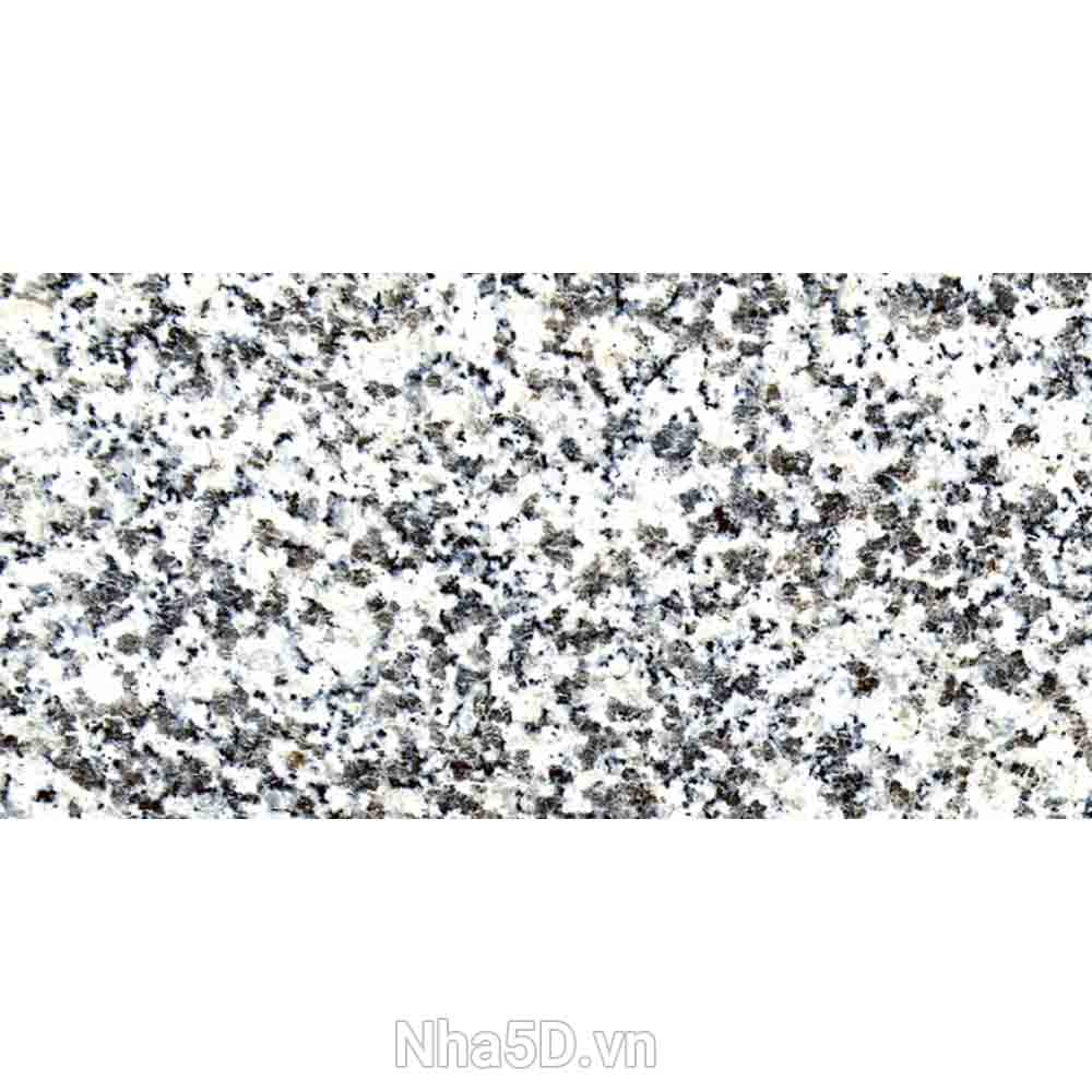 gach-10x20-prime-09223