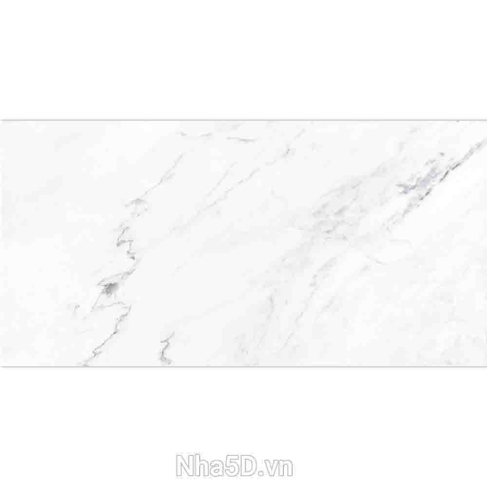 gach-30x60-prime-03016 f17