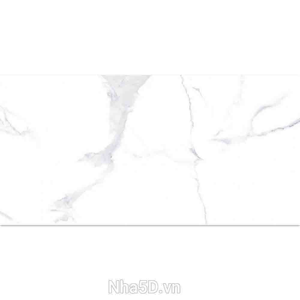 gach-30x60-prime-03945 (1)