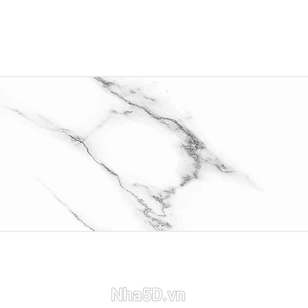 gach-the-10x20-prime-09208