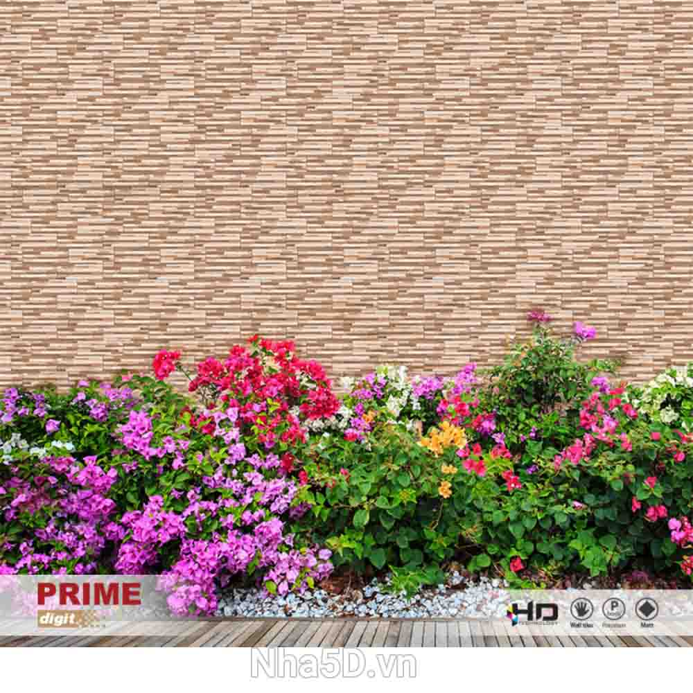 phoi-canh-gach-10x30-prime-02715