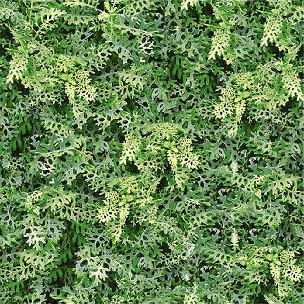 gach-dong-tam-4040-GREENERY-001