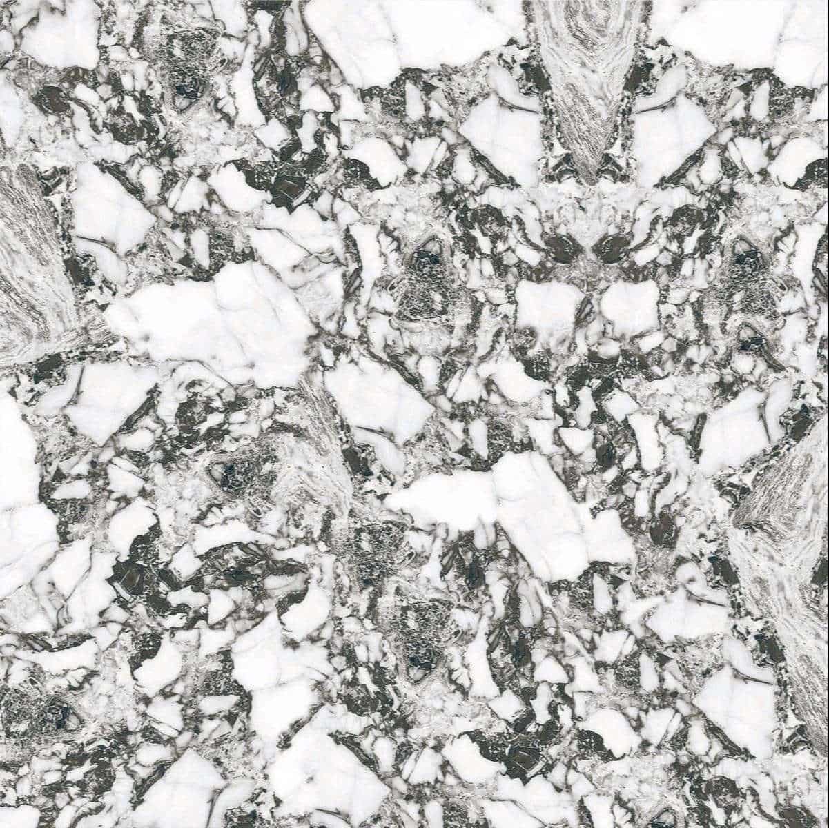 gach-vitto-3063-min